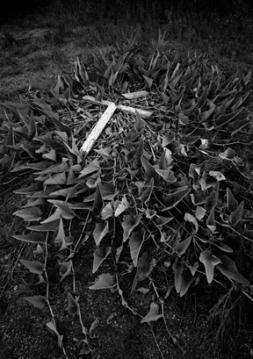 "Fall from Grace" at the old church In Tijeras, NM, 1993