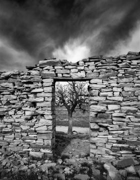 "The Homestead" , 2004
Near Vaughn NM 
